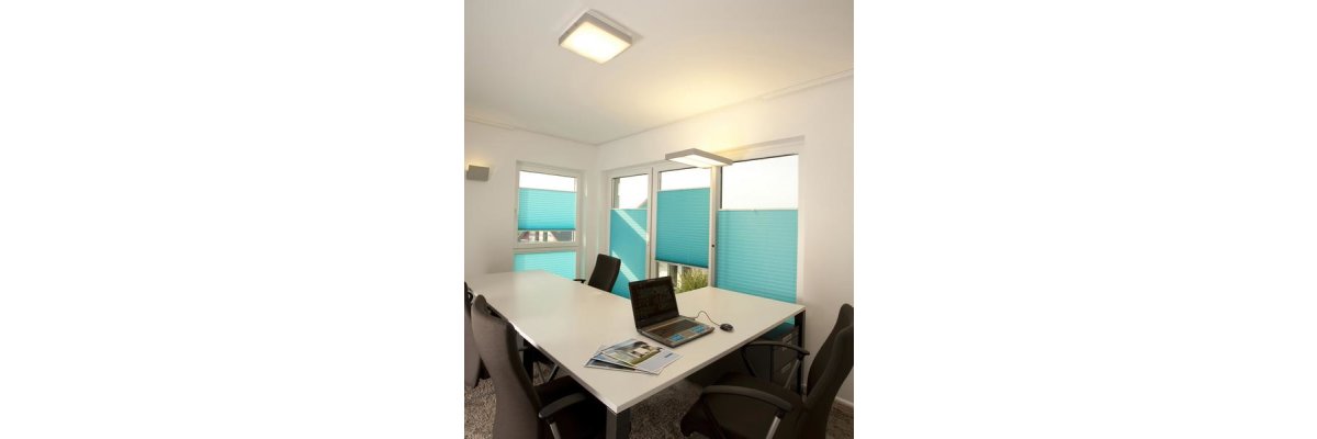Sonnenschutz im Büro mit Rollo, Plissee oder Jalousie? - Plissee, Rollo oder Jalousie - Sonnenschutz im Büro