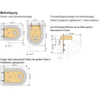 Basisrollos 42.012. transparent in 4 Farben