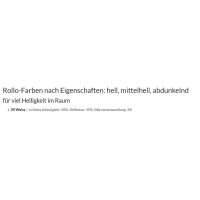 Seitenzugrollo 41.360. blickdicht in weiss