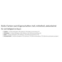 Kassettenrollos 42.012. transparent in 4 Farben