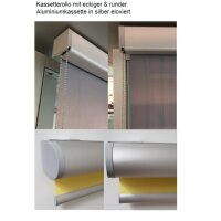 Kassettenrollos 42.012. transparent in 4 Farben