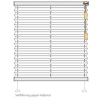 Fensterplissees 31.076. - F1 blickdicht in 4 Farben...