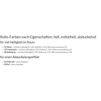 Doppelrollo mit Seitenzug 46.127. - in 5 Farben mit breiten Streifen