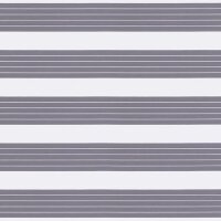 Doppelrollo mit Seitenzug 47.131. - in 4 Farben mit breiten Streifen