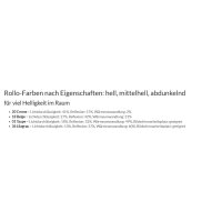 Doppelrollo mit Kassette 47.131. - in 4 Farben mit breiten Streifen