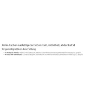 Doppelrollo mit Kassette 48.309. - in 2 Farben mit breiten Streifen