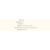 Fensterplissees 31.7 - F1 blickdicht in 5 Farben