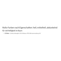 Basisrollos 41.690.21 blickdicht in weiß - gemustert