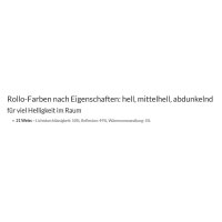 Basisrollos 42.614.21 transparent in weiß