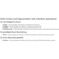 Seitenzugrollo 40.168. blickdicht in 6 Farben - liniert