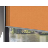 Seitenzugrollo 40.168. blickdicht in 6 Farben - liniert