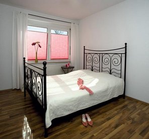Fensterplissees mit Zugschnurbedienung Fensterplissees mit Zuschnurbedienung
